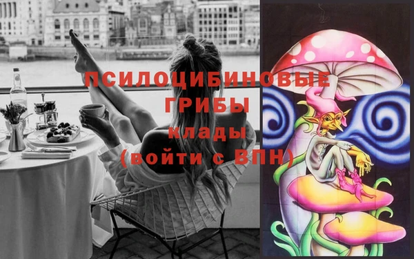 гидропоника Абдулино