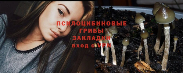 скорость Алексин