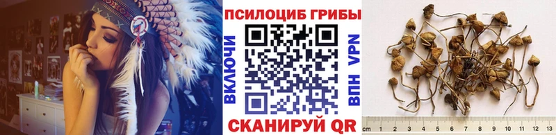 Псилоцибиновые грибы мухоморы  Исилькуль 